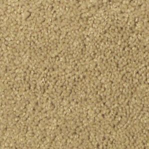 textured carpet