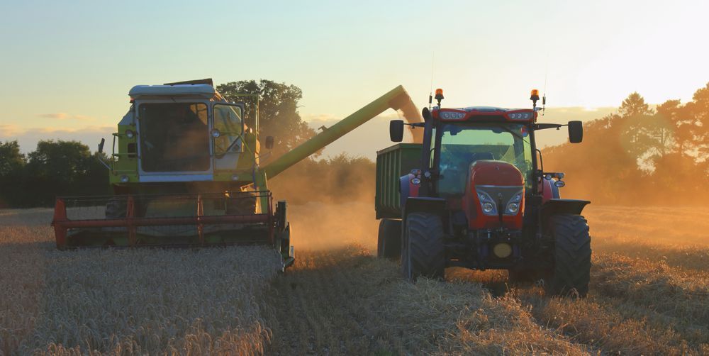 Combine harvester filling a red tractor trailer with grain during a sunset in a field.