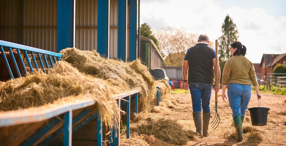 Two people walking on a farm, past hay; one carries a bucket, the other a rake.