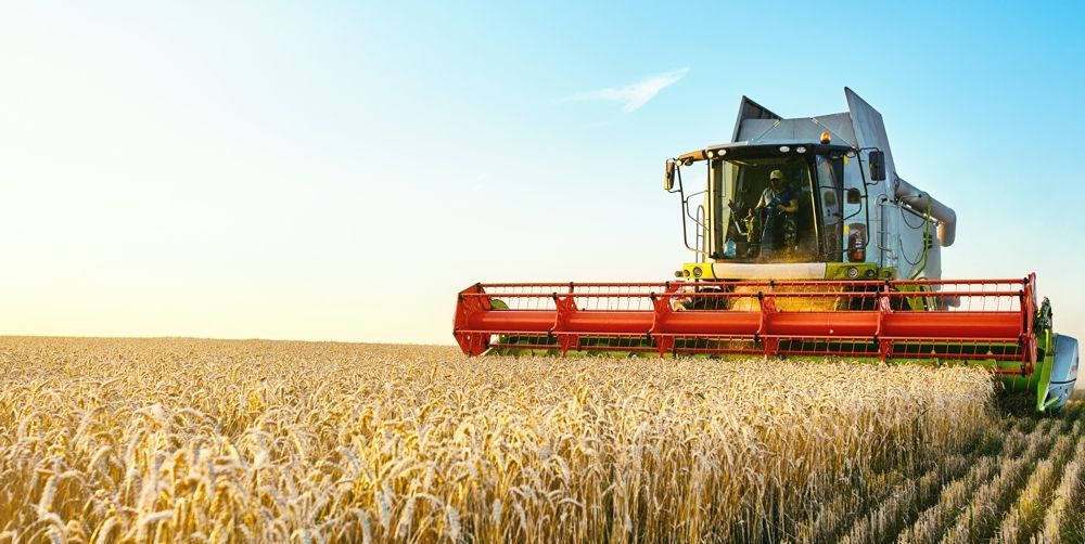 A combine harvester in a wheat field under a blue sky, harvesting crops during daytime.