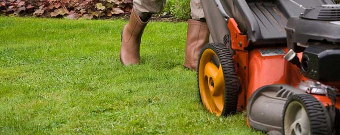 A person is mowing a lush green lawn with a lawn mower.
