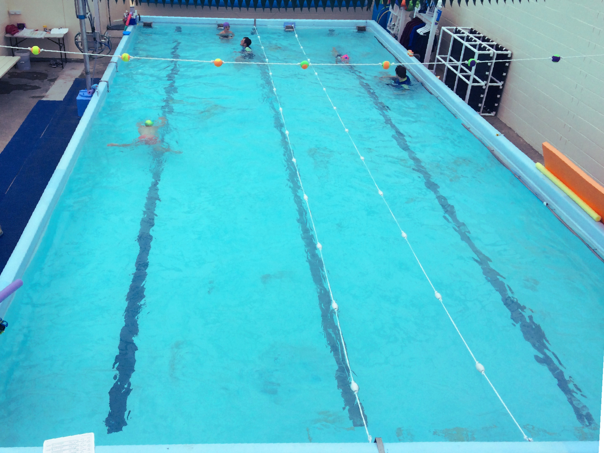 Swimmers in a turquoise pool with lane markers. Overhead shot.