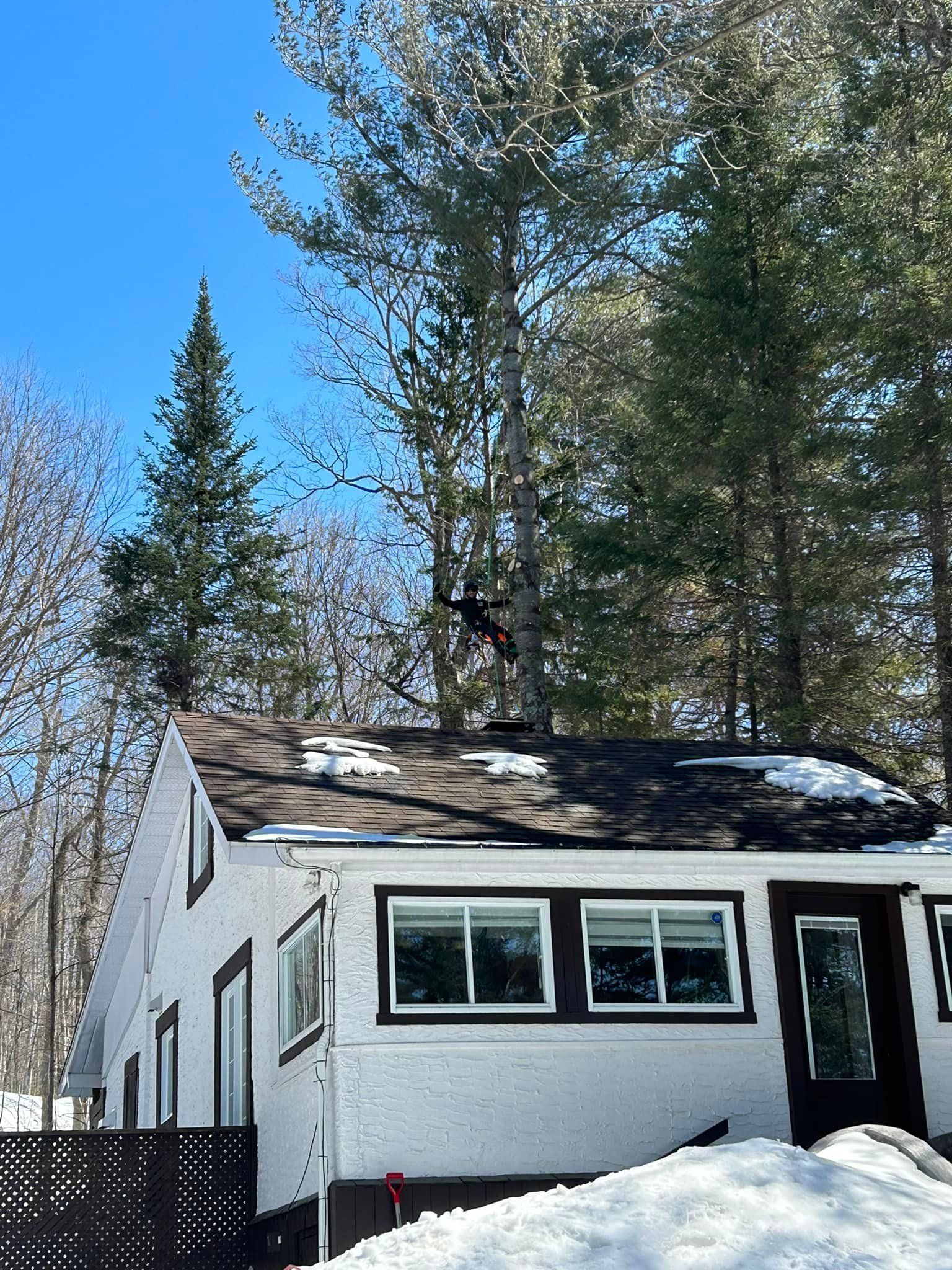 Maison blanche aux boiseries noires, entourée d'arbres et de neige sous un ciel bleu.