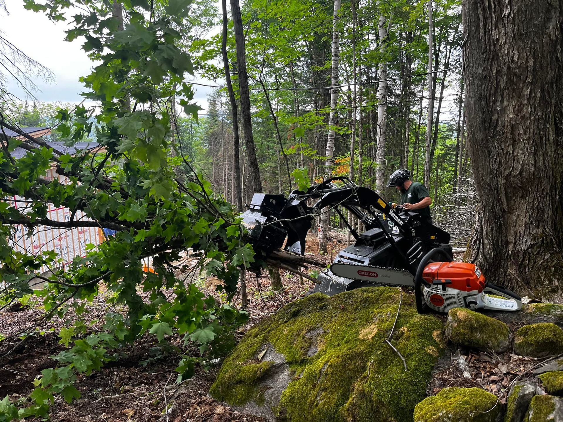 Un homme utilise une déchiqueteuse à bois près d'un arbre dans une zone boisée.