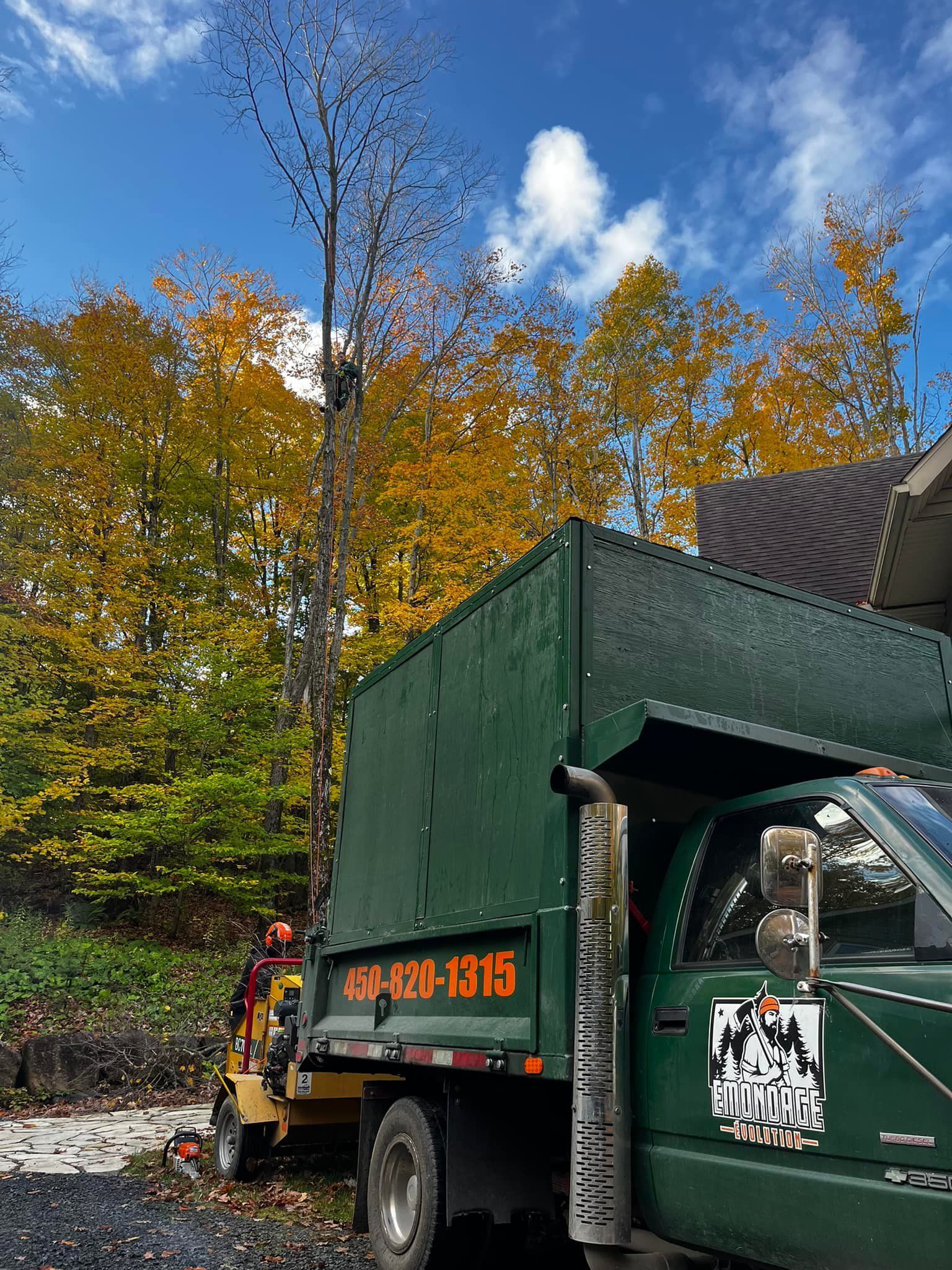 Camion d'entretien d'arbres vert à côté d'un arbre aux feuilles d'automne ; ciel bleu en arrière-plan.
