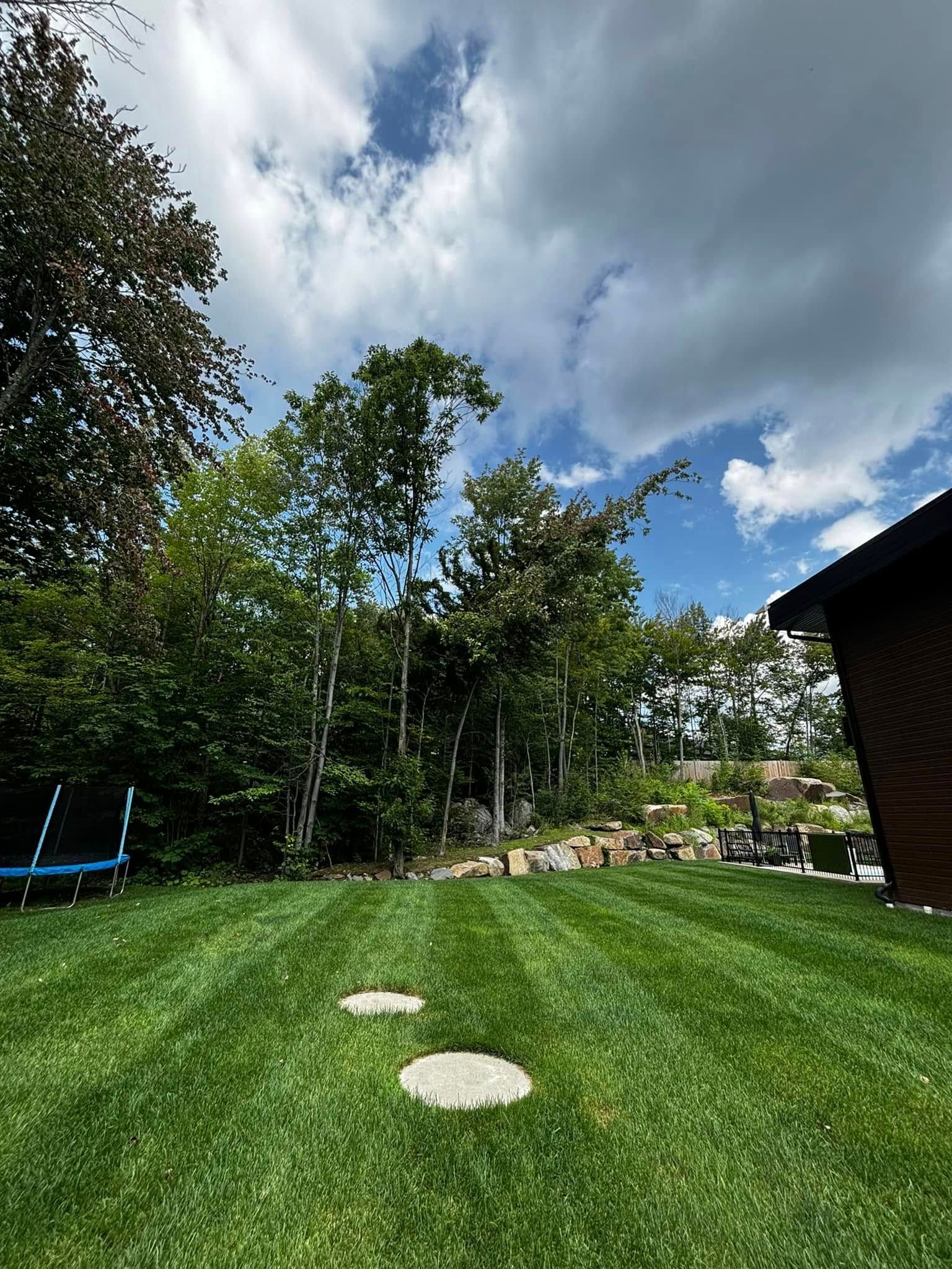 Pelouse verte avec des arbres, ciel bleu et une maison. Deux dalles mènent à des arbres.