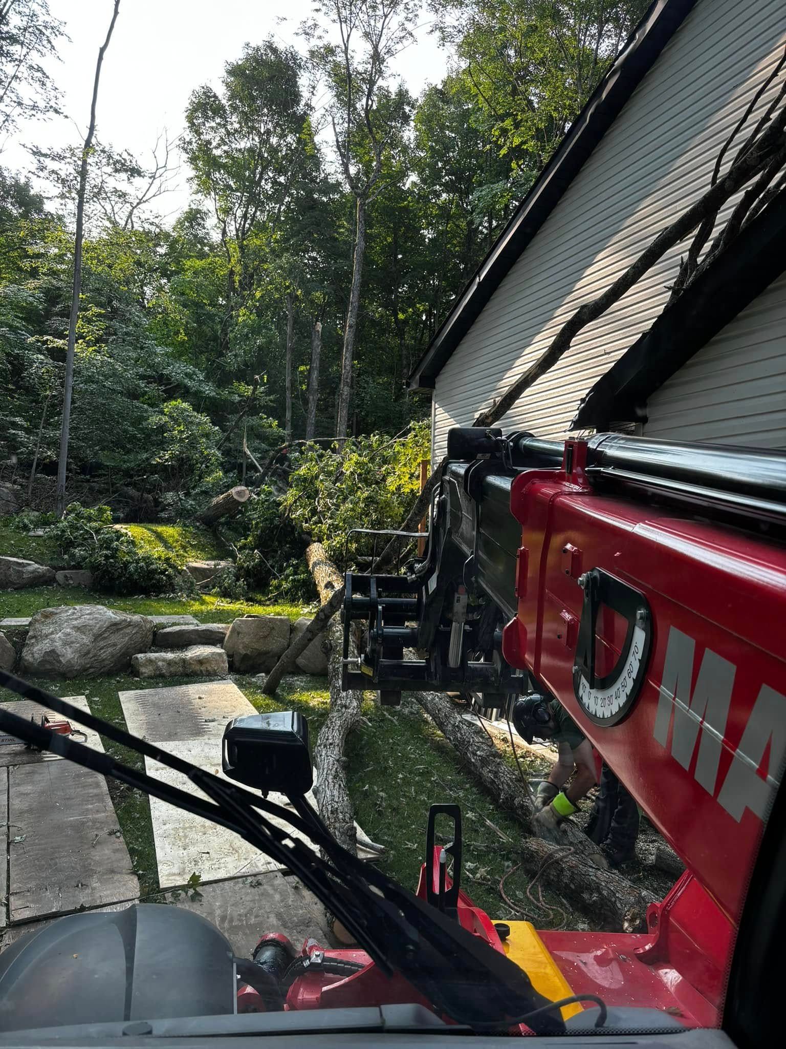 Un chariot télescopique rouge élague une branche d'arbre près d'un bâtiment. Arbres verts et pelouse en arrière-plan.