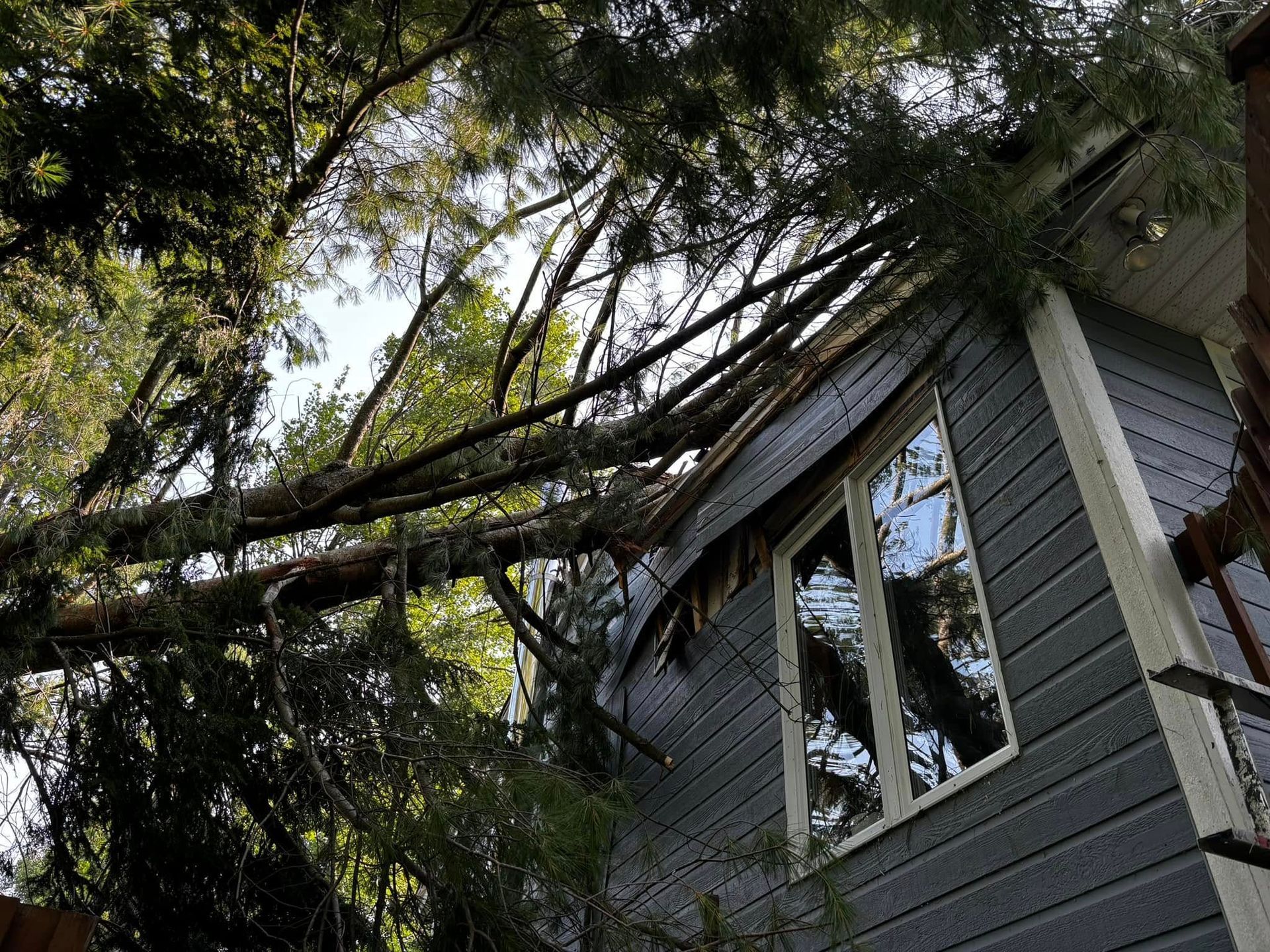 Une branche d'arbre est tombée sur le toit d'une maison, des dégâts sont visibles sur le revêtement et la fenêtre.