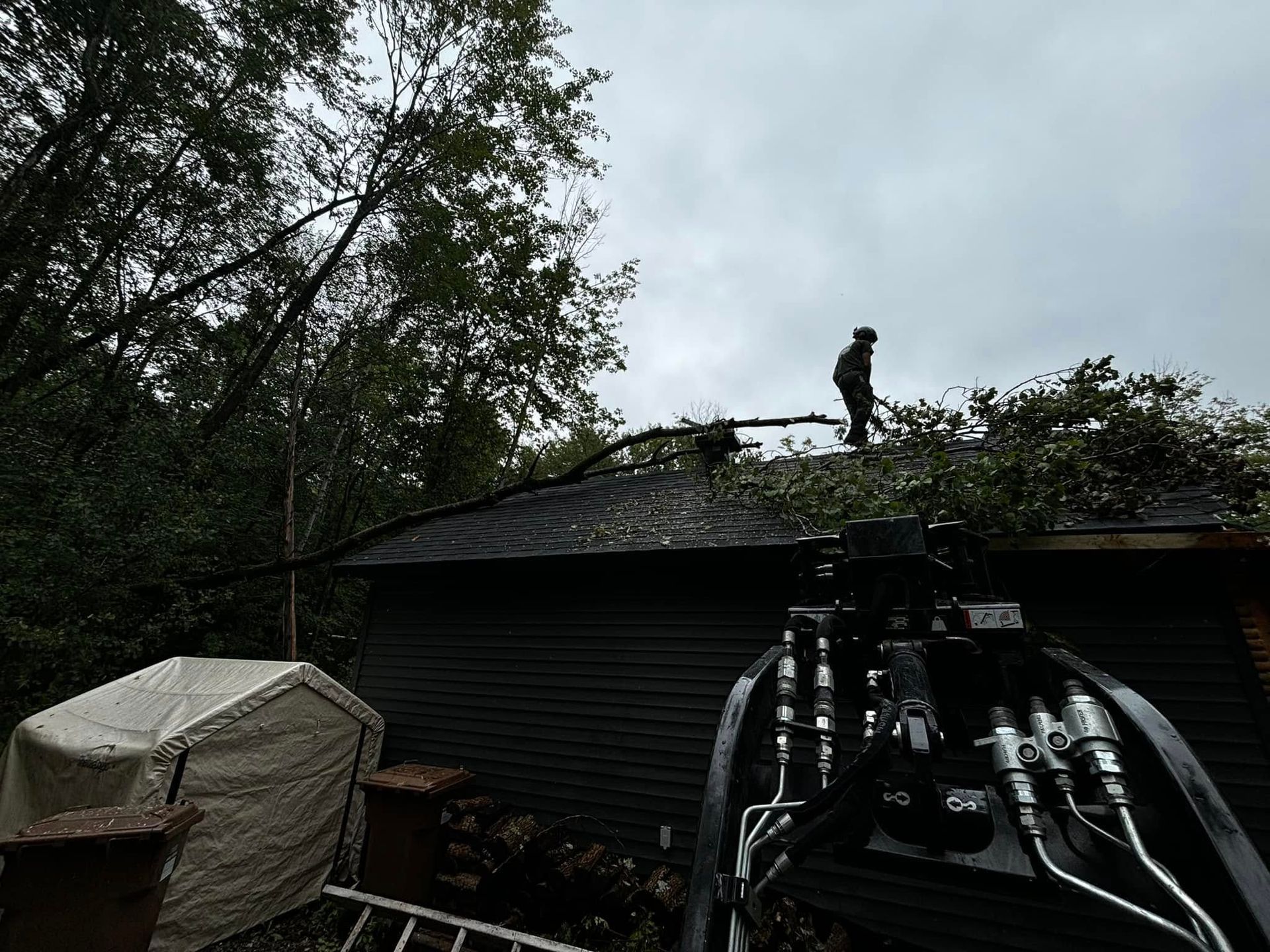 Un homme dégage des branches d'arbre sur un toit. Maison noire, ciel couvert, forêt en arrière-plan.