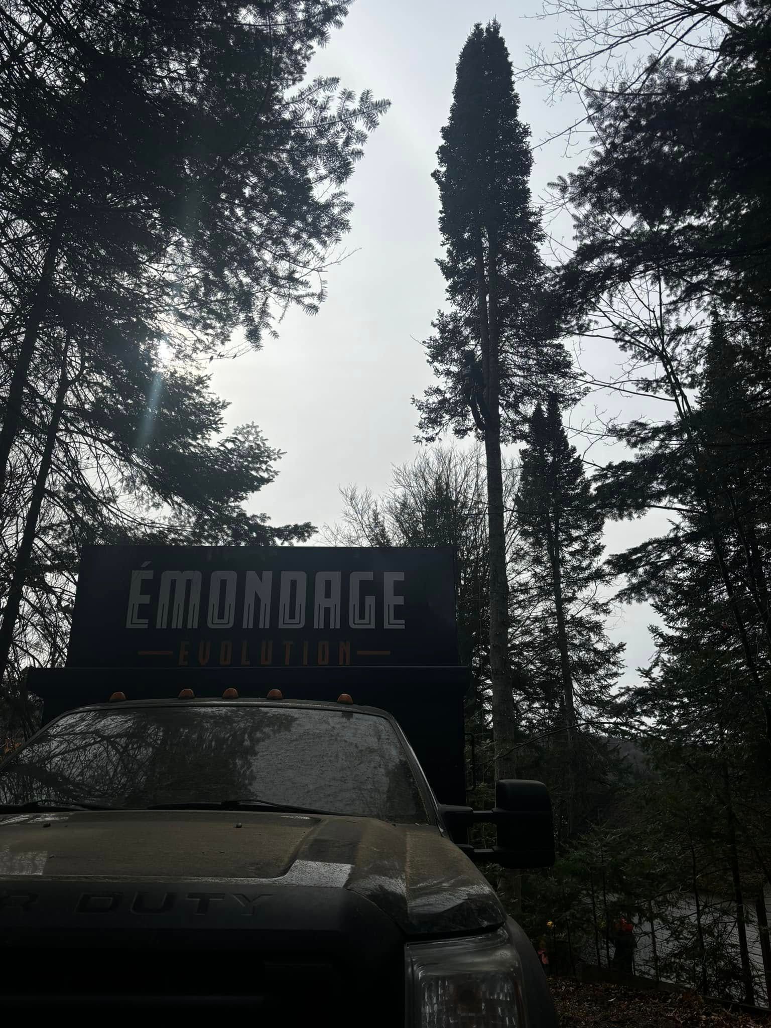 Camion noir avec panneau « ÉMONDAGE EXPORTATION » en forêt, sous un ciel nuageux.