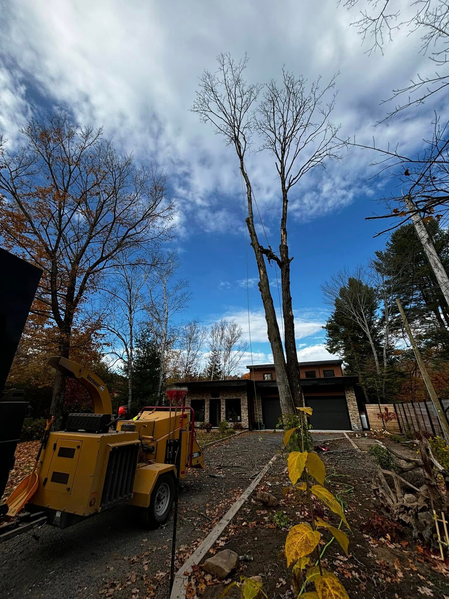 Une déchiqueteuse à bois à côté d'un grand arbre partiellement coupé, devant une maison moderne.
