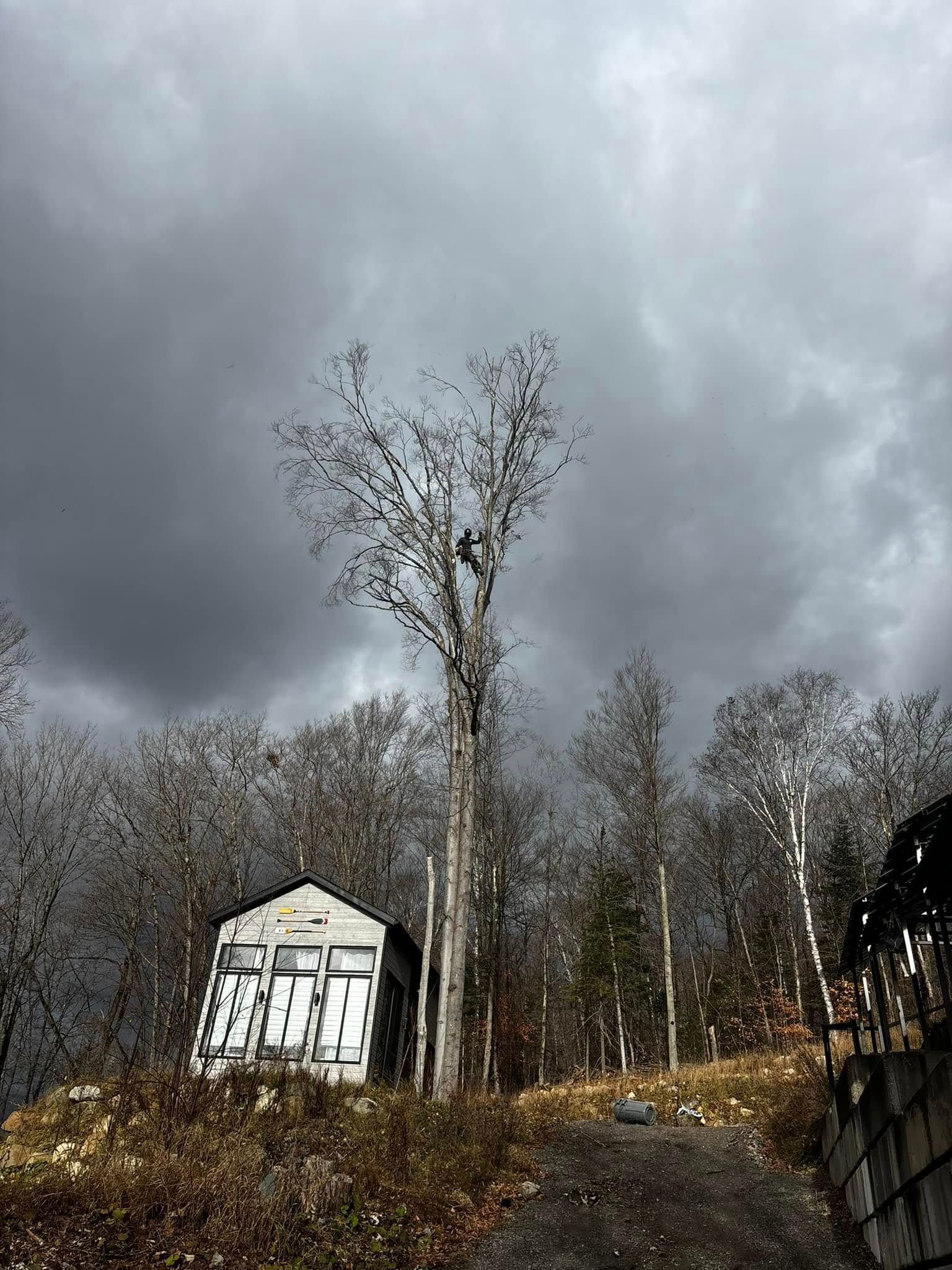 Ciel couvert au-dessus d'un petit bâtiment blanc et d'arbres dénudés à flanc de colline.