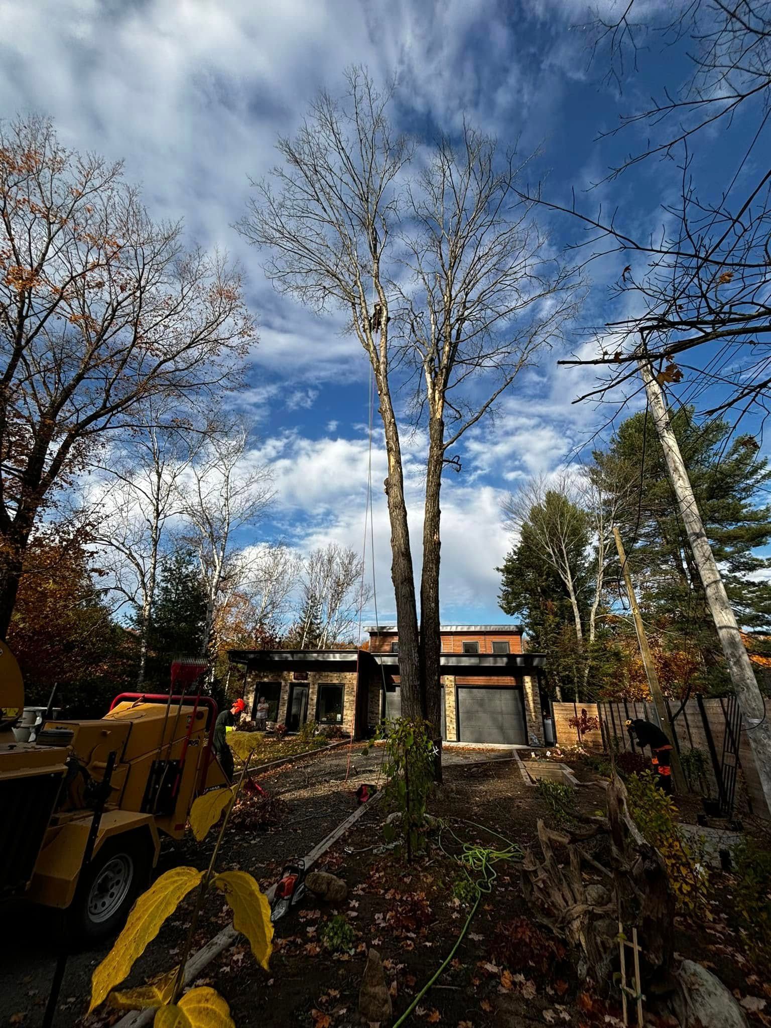 Deux grands arbres dénudés encadrent une maison sous un ciel nuageux. Des engins de chantier jaunes sont immobilisés à gauche, des débris jonchent le sol.