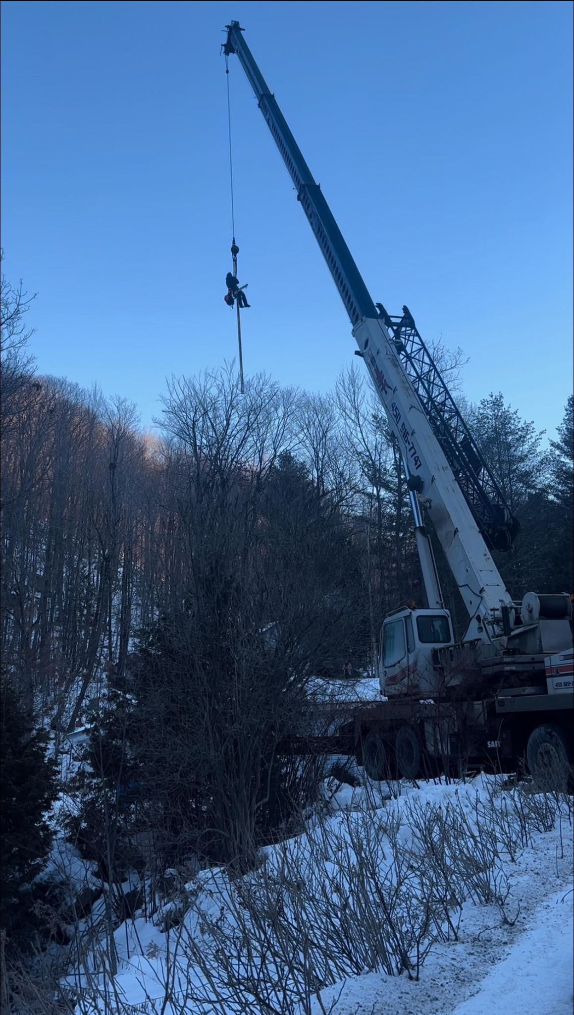 Une grue soulève un objet au-dessus d'arbres enneigés, sur fond de ciel bleu.
