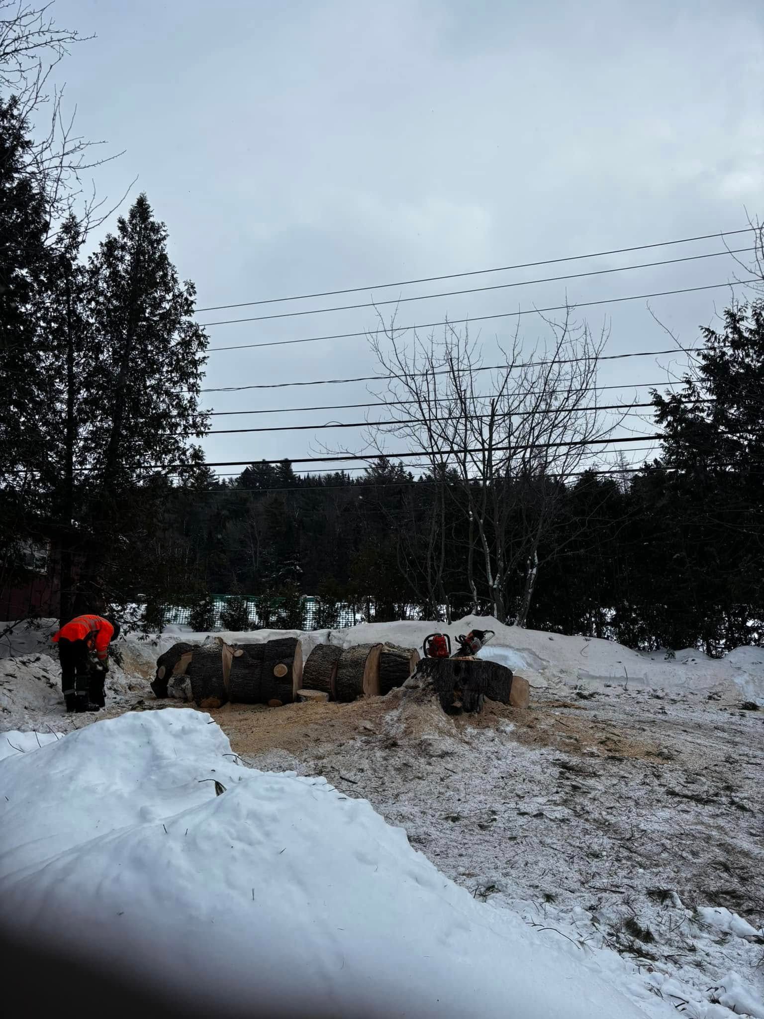 Scène enneigée avec une personne coupant du bois. Ciel nuageux, arbres et sol enneigé.