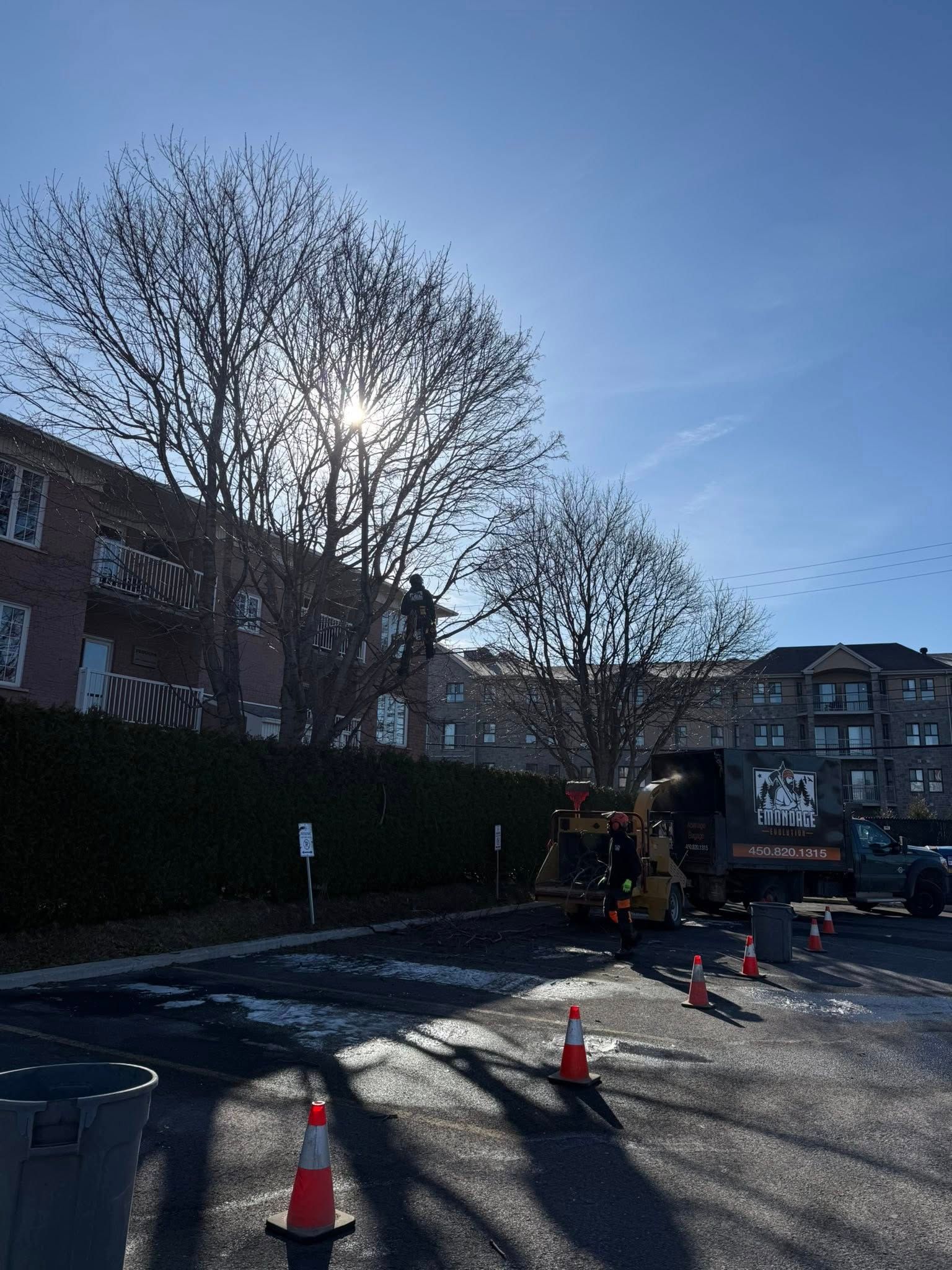 Le soleil brille à travers les arbres dénudés ; du matériel d'élagage est stationné sur l'asphalte près d'immeubles d'habitation, avec des cônes de signalisation.