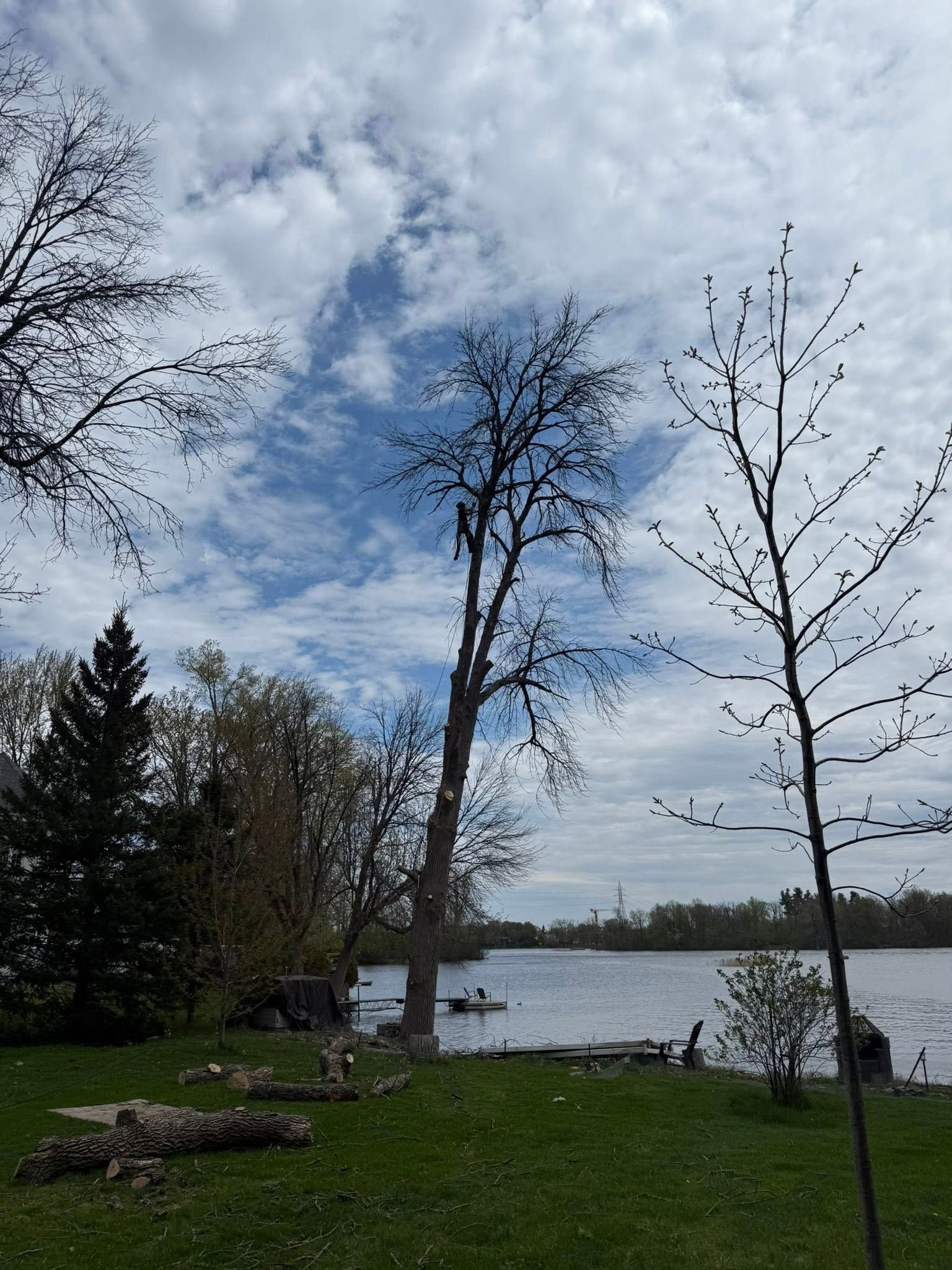 Des arbres sur une berge herbeuse surplombant un lac sous un ciel partiellement nuageux.