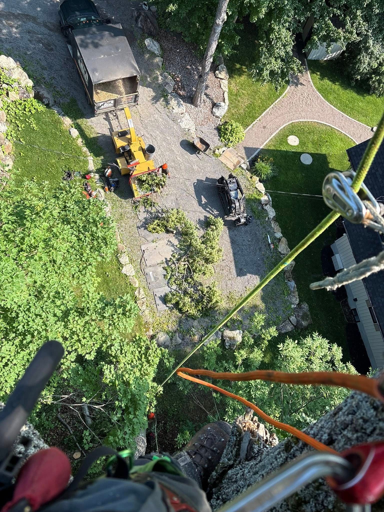 Personne sur un tronc d'arbre, vue du sol en contrebas avec des engins de chantier, une pelouse verte et des allées pavées.