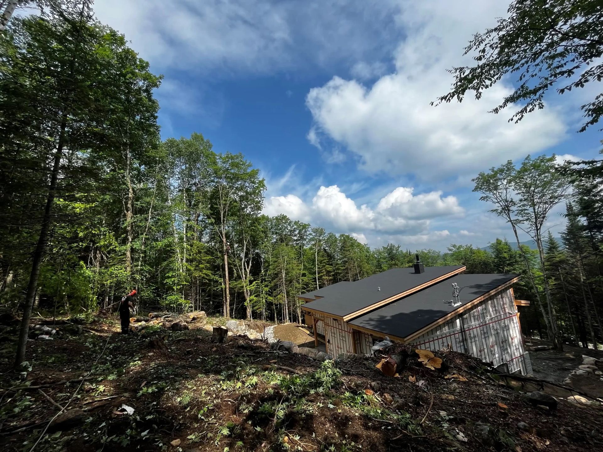 Cabane au toit sombre dans un décor forestier sous un ciel nuageux. Une personne se trouve près de la clairière.