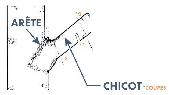 Schéma illustrant la coupe d'une branche d'arbre, étiquetée « ARÊTE » (bord) et « CHICOT » (souche) et indiquant les points de coupe.