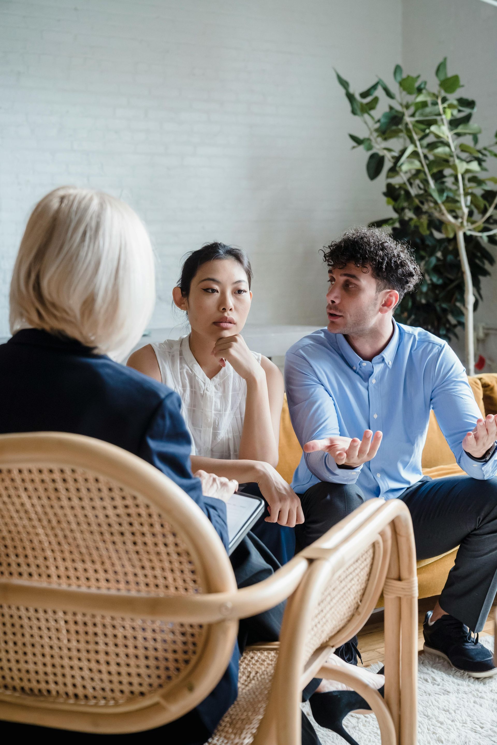 Three people in a discussion circle, with a plant and wicker chair in a bright room.