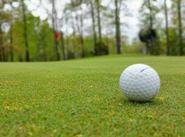 A golf ball is on the green of a golf course.