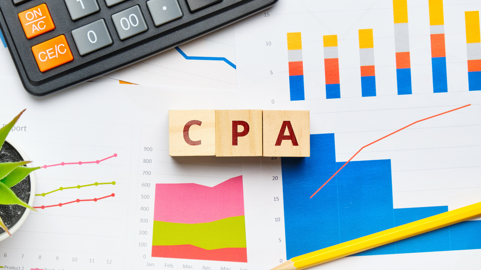 what-does-a-cpa-do-for-individuals