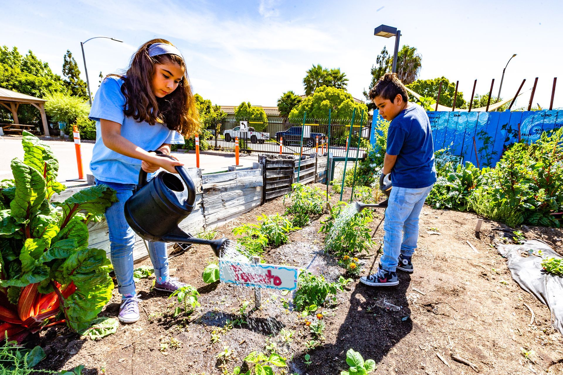 Montessori children watering plants