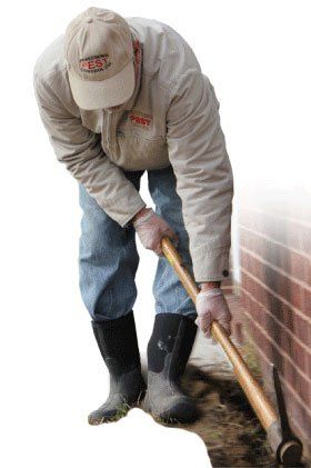 Termite Inspection and Exterminaiton in Sallisaw, OK