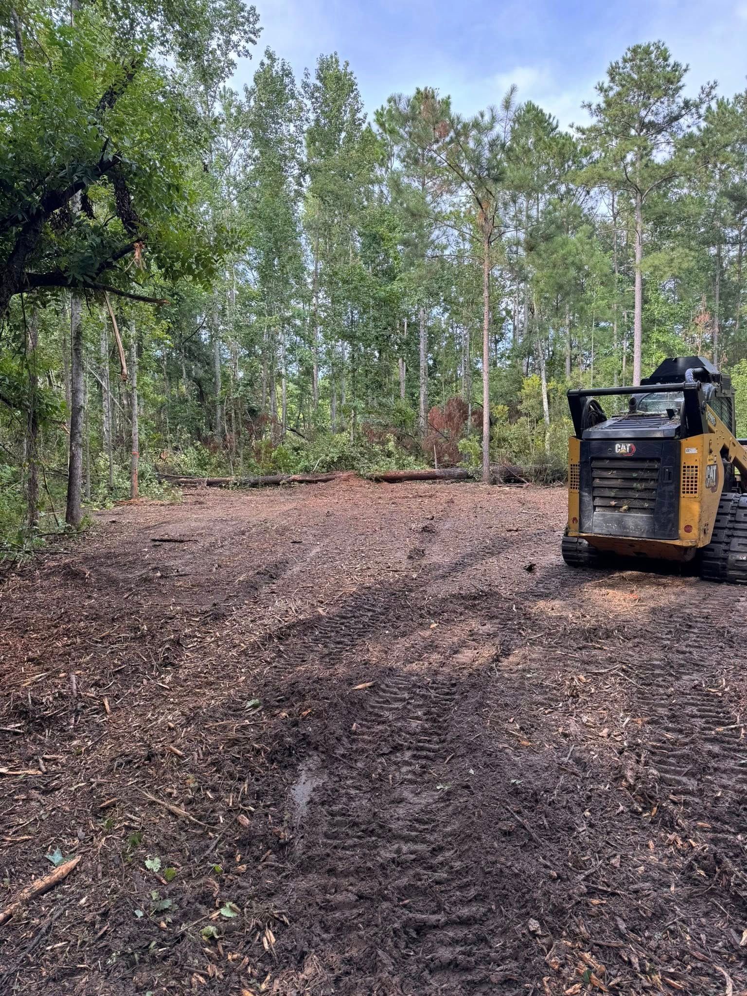 A man is standing next to a ladder in front of a tree.