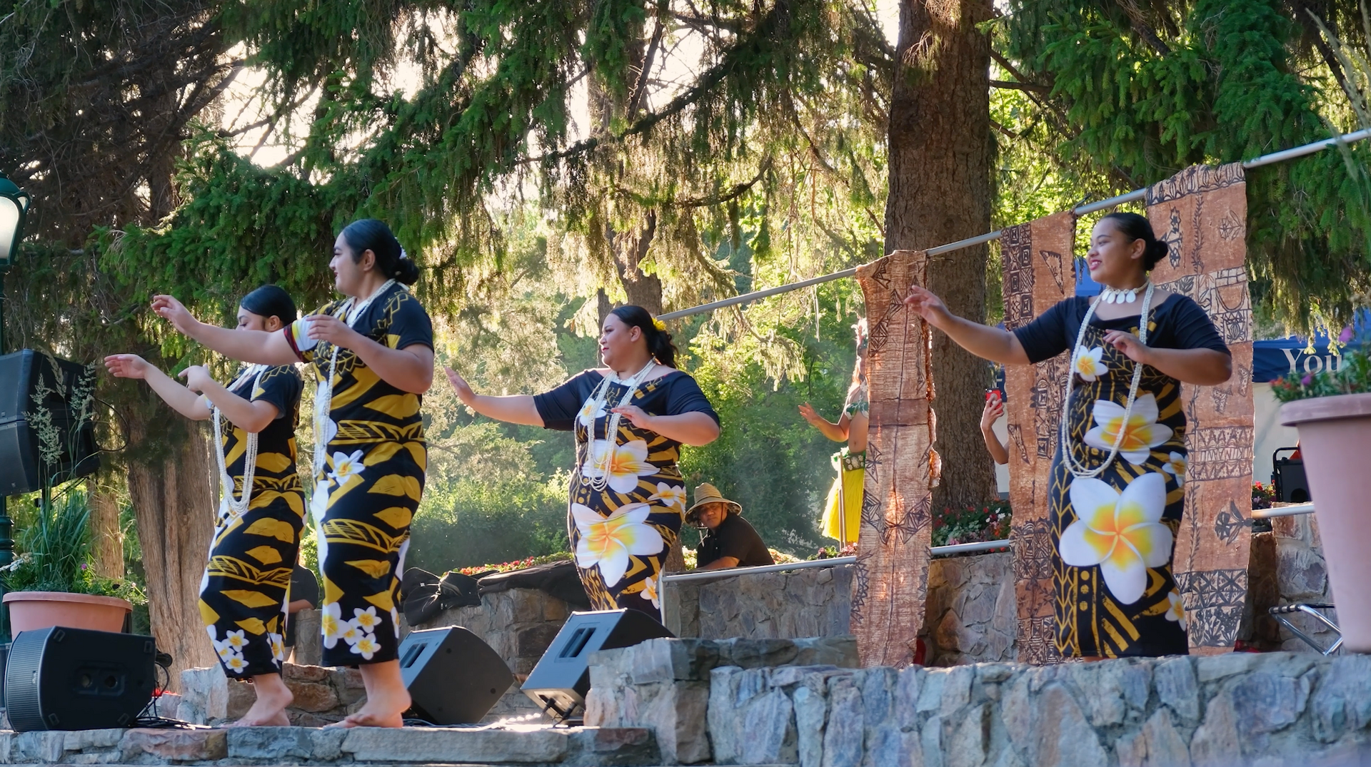 A group of women are dancing on a stage in a park.