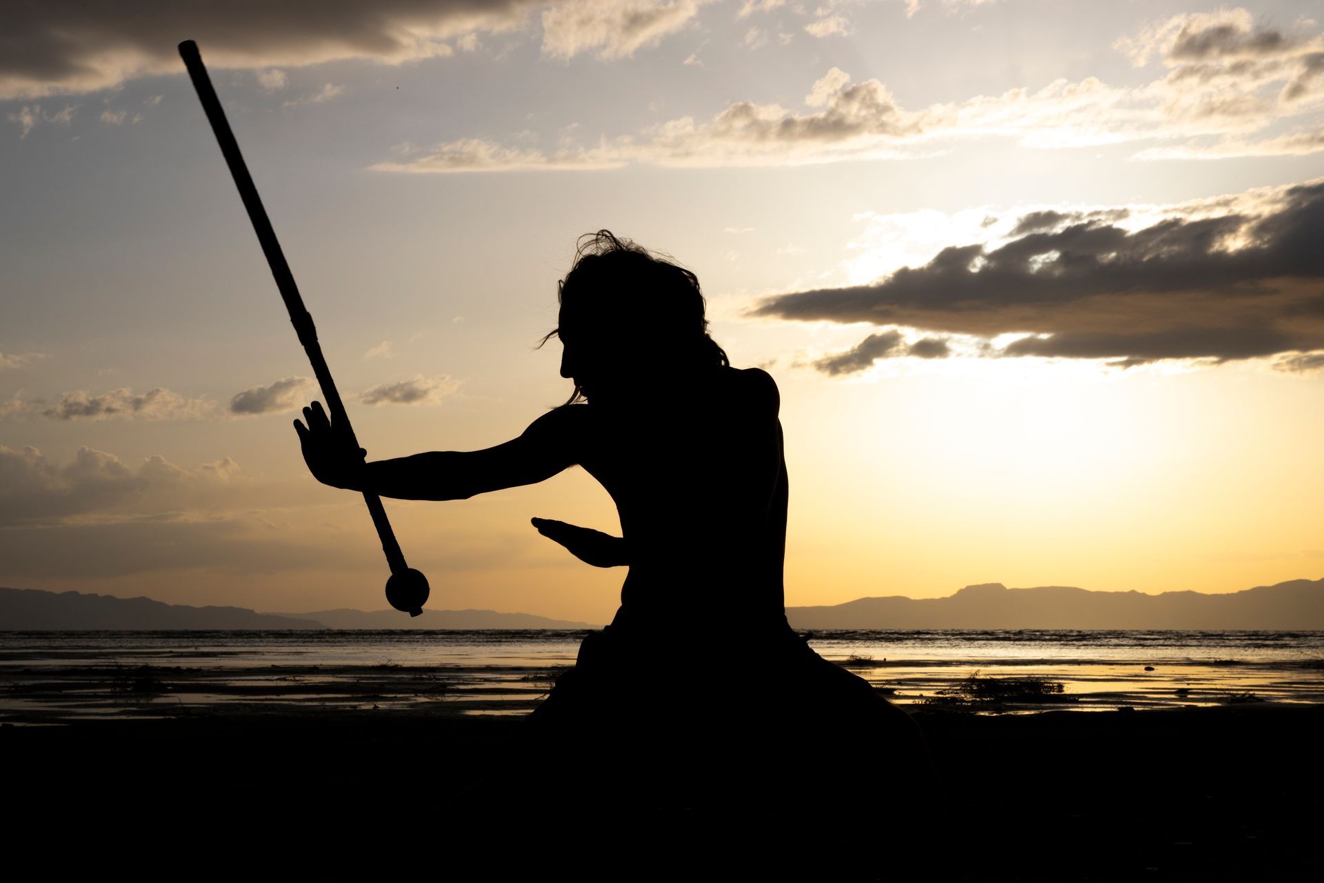 A silhouette of a person holding a stick in front of a body of water