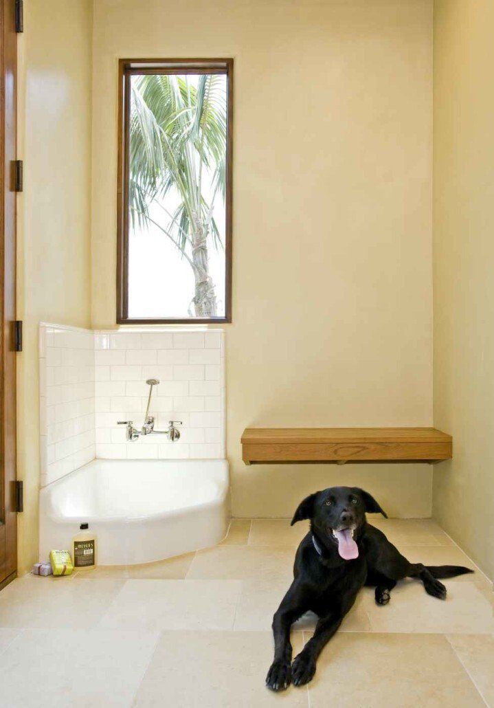 Mitch Williams Construction | Construction | Building Design | Building Layout