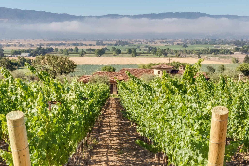 Mitch Williams Construction | Construction | Building Design | Building Layout