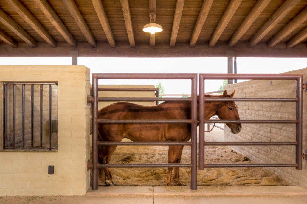 Mitch Williams Construction | Construction | Building Design | Building Layout