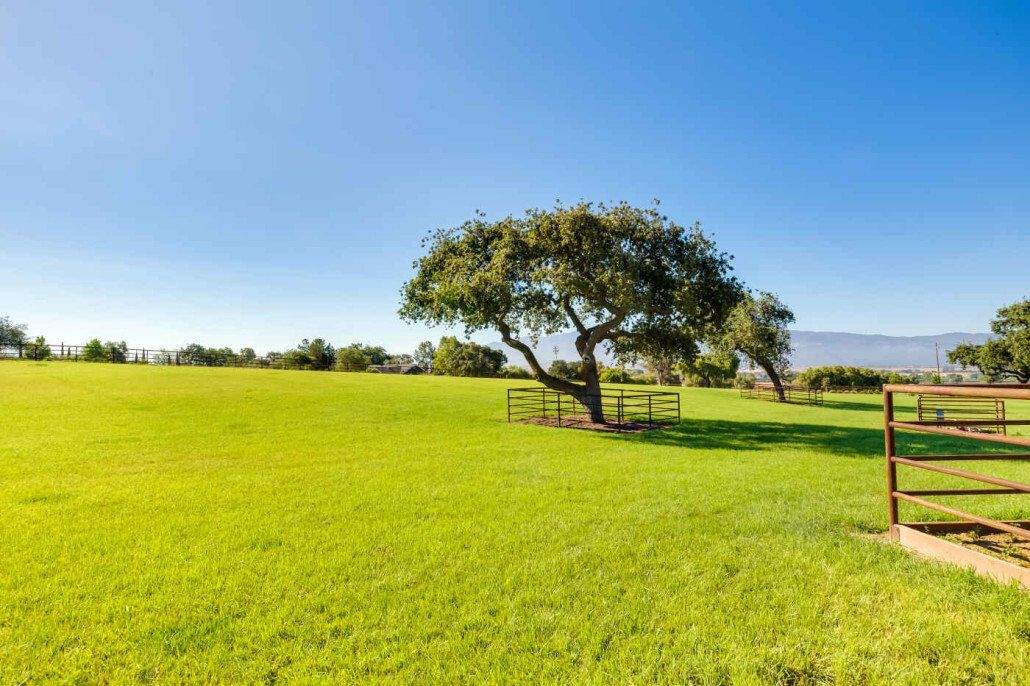 Mitch Williams Construction | Construction | Building Design | Building Layout