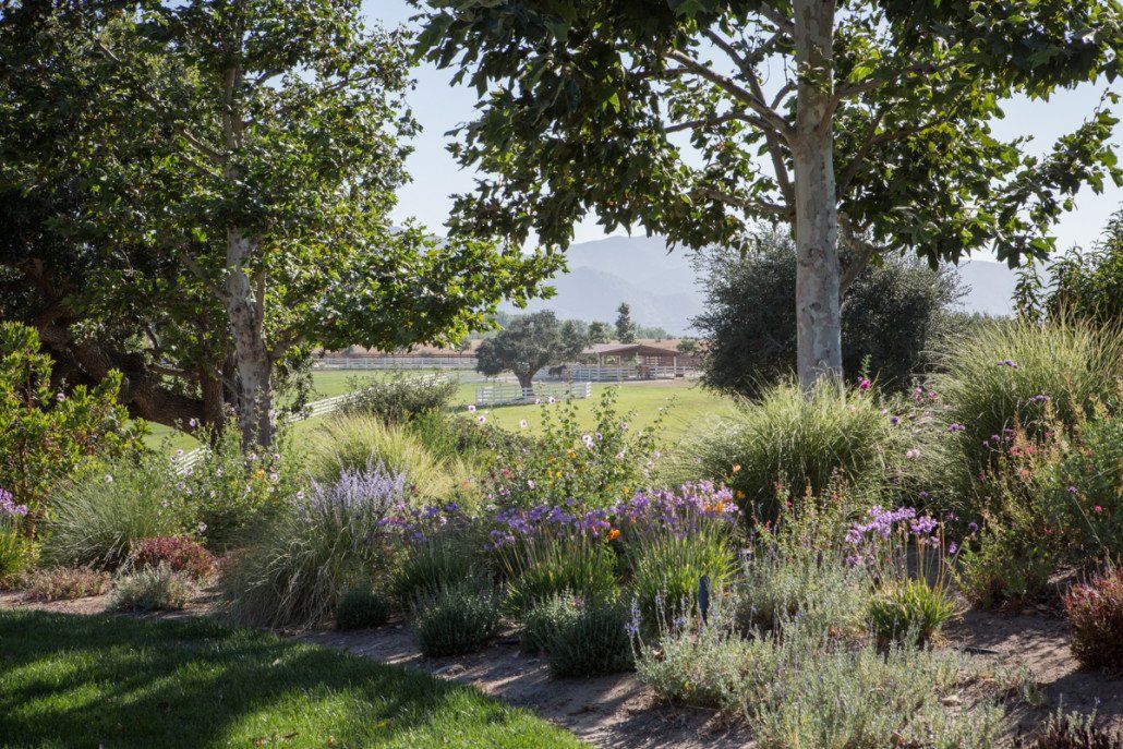 Mitch Williams Construction | Construction | Building Design | Building Layout