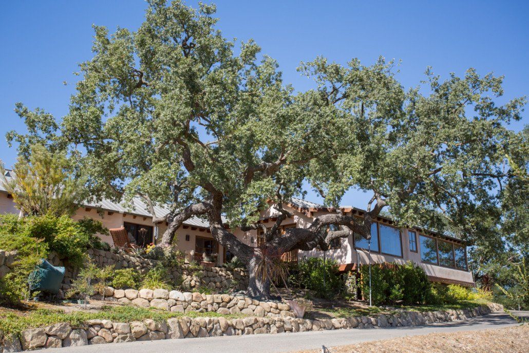 Mitch Williams Construction | Construction | Building Design | Building Layout