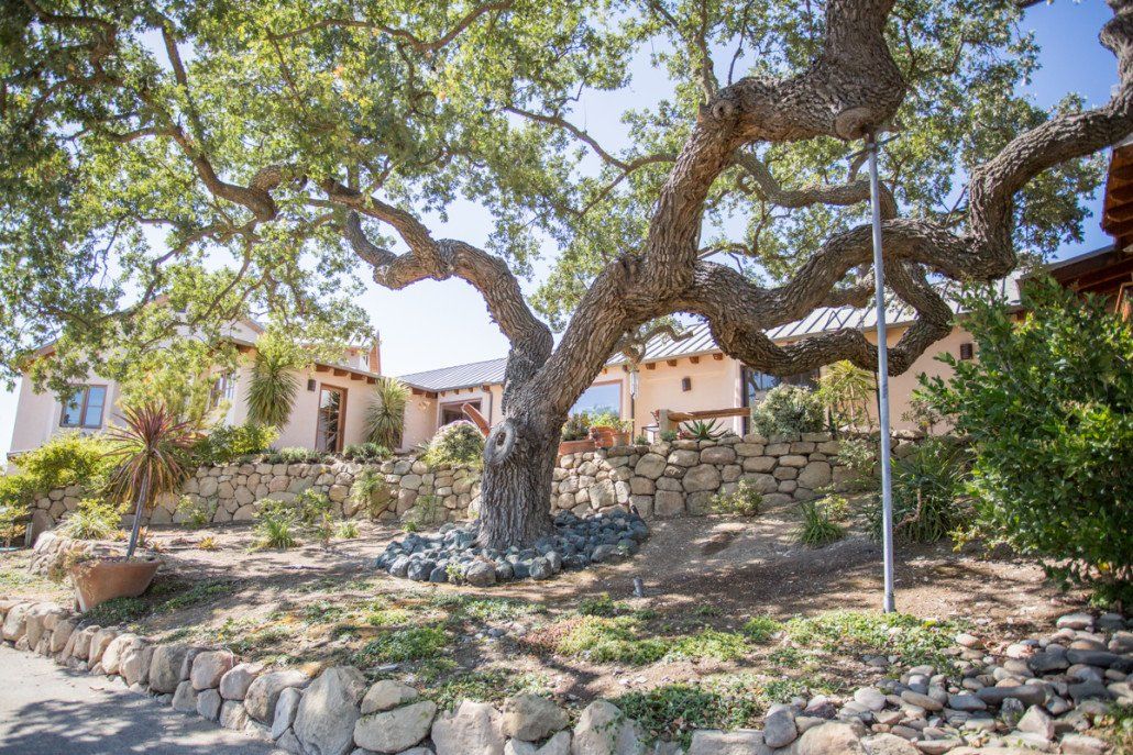 Mitch Williams Construction | Construction | Building Design | Building Layout