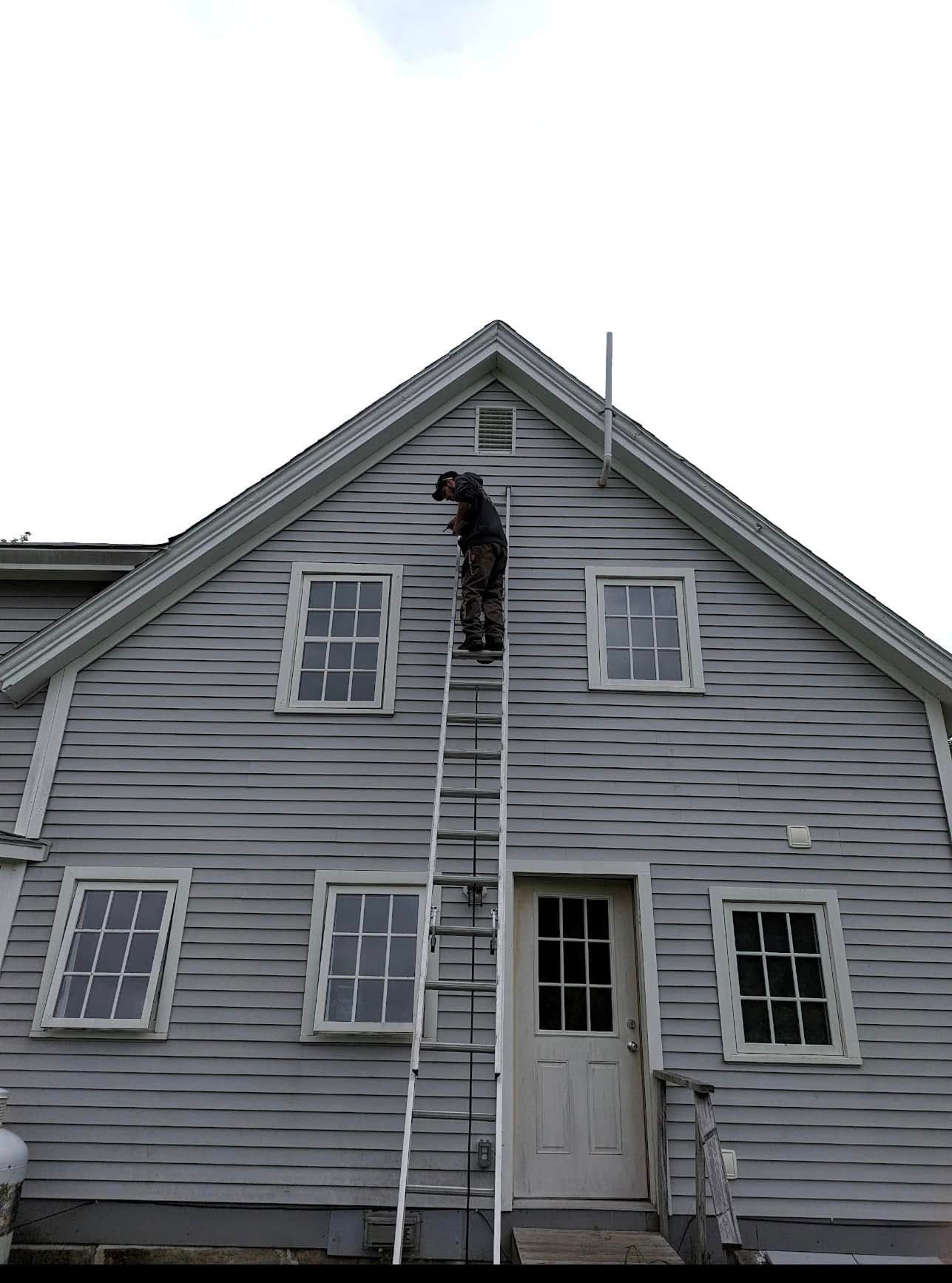 Person on a ladder, painting the gray exterior of a house with white-framed windows and a white door.