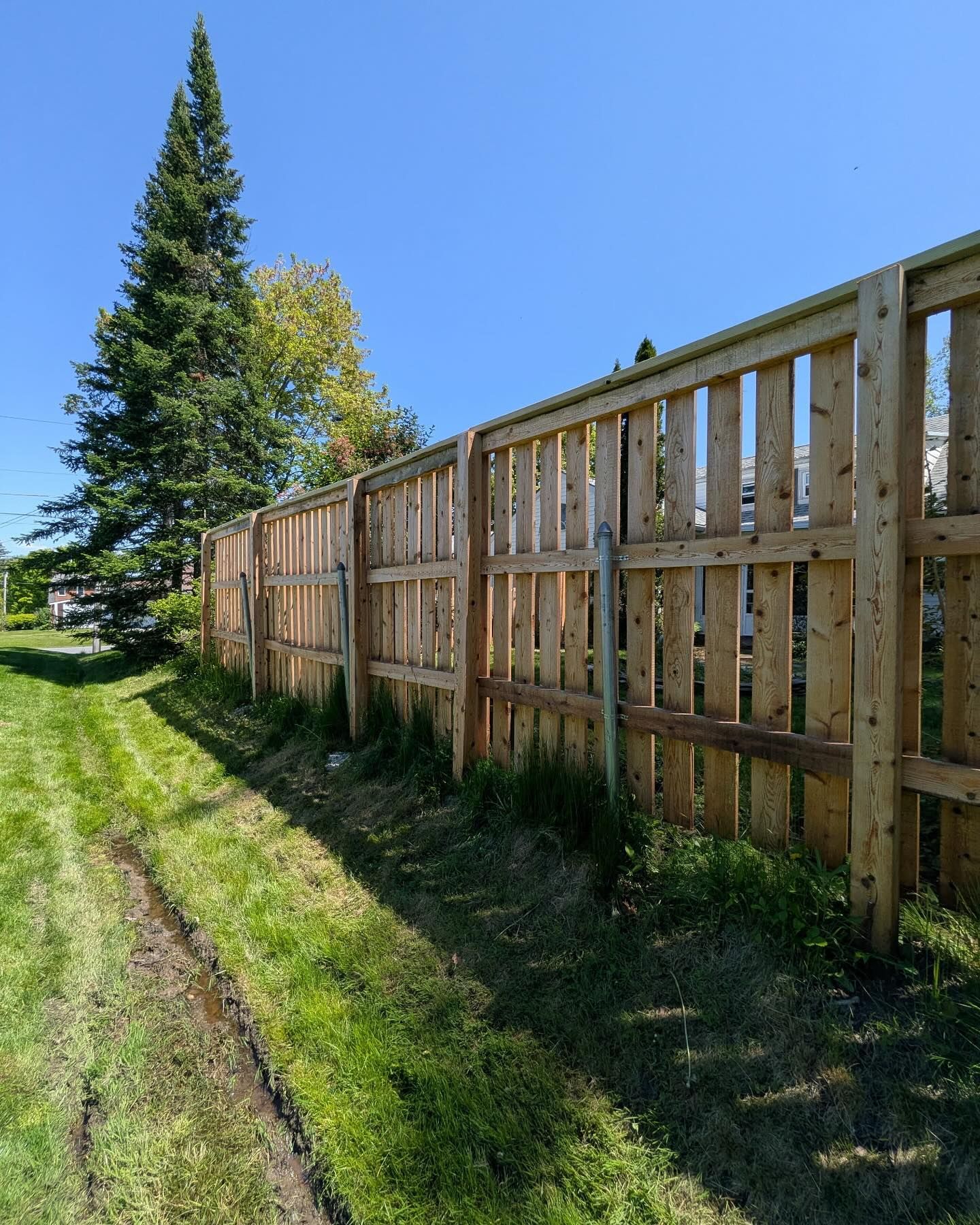 Wooden fence bordering a grassy yard on a sunny day.