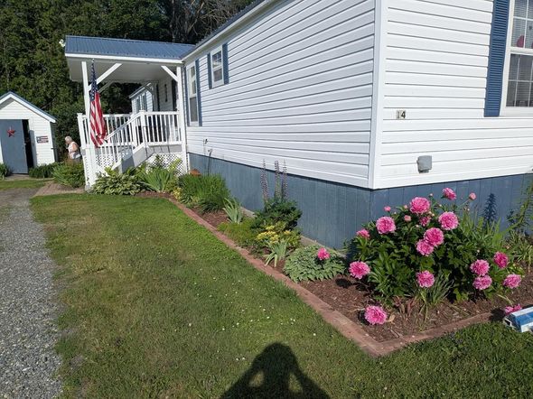 Mobile home with a porch, garden bed, and shed. Pink roses, blue siding, and a flag.