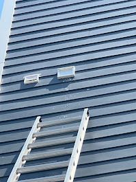 A ladder is leaning against the side of a building.