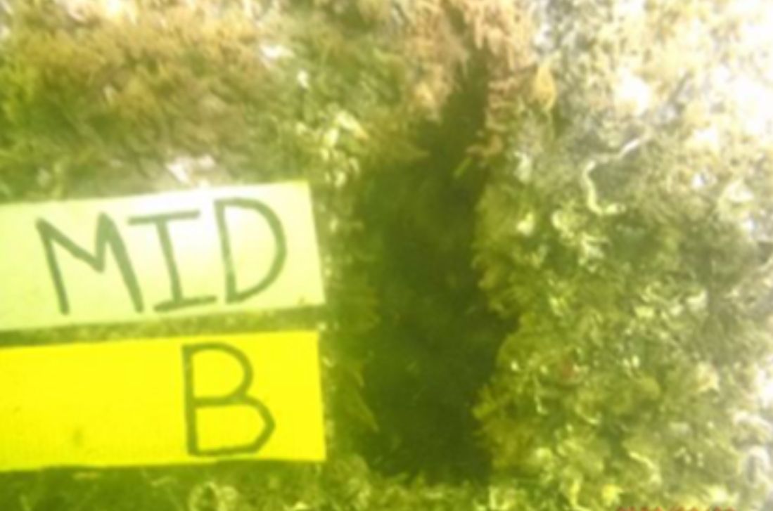 Pitting Corrosion of Steel Pile