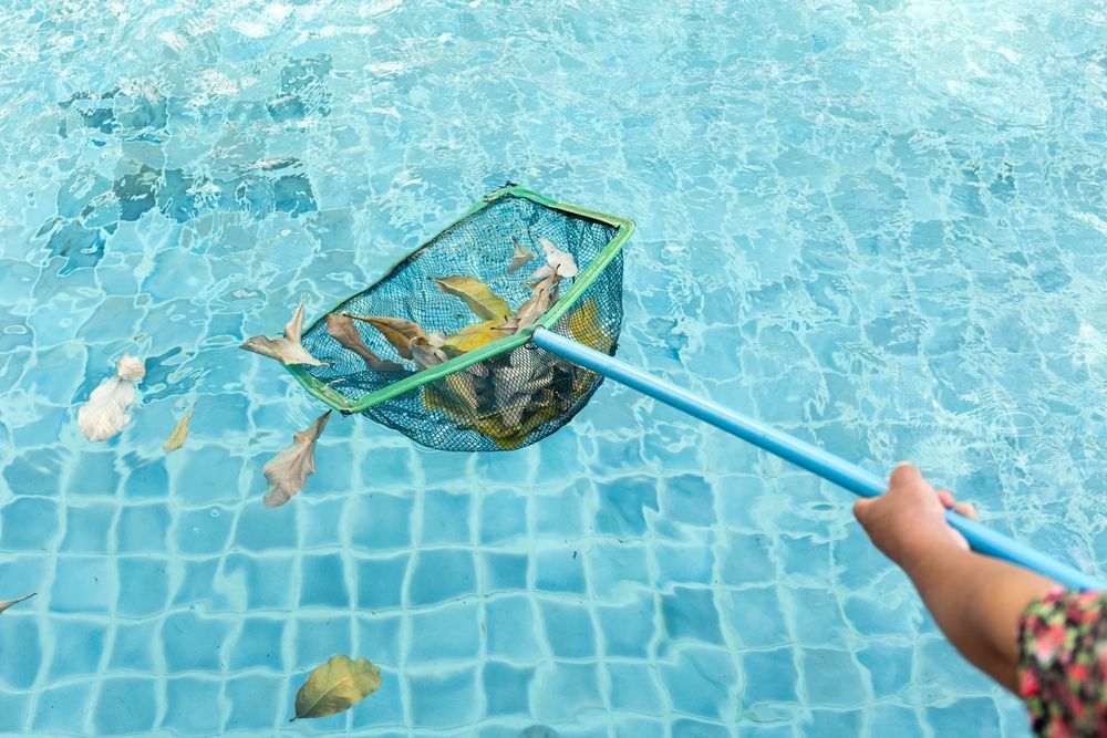A Person Uses a Net to Scoop Debris From a Blue Tiled Swimming Pool — Cascade Pool & Spa Centre in Macksville, NSW