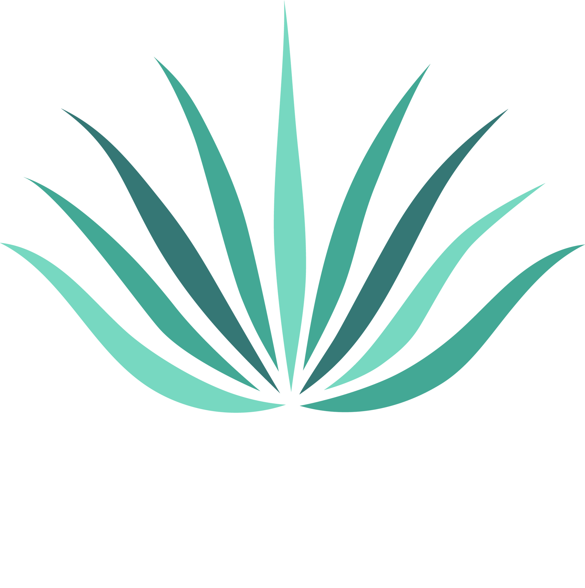 Abstract design of teal-colored agave plant with multiple pointed leaves radiating from a central point.