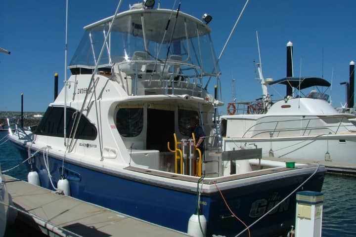 A blue and white boat is docked at a marina
