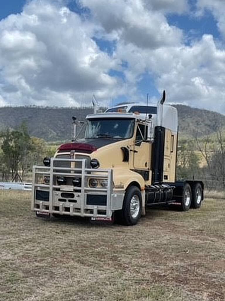 A semi truck is parked in a field with mountains in the background.