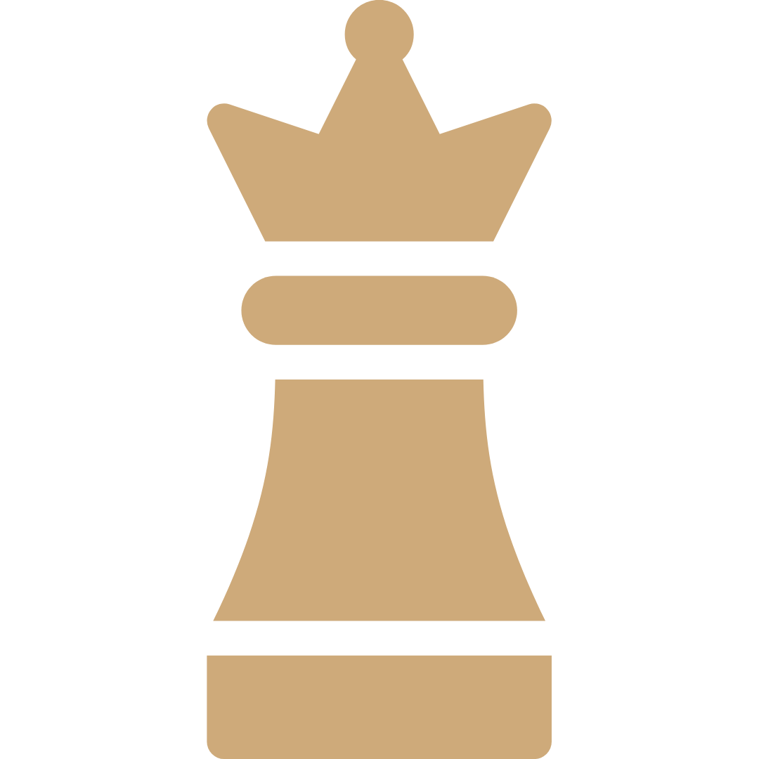 chess piece icon