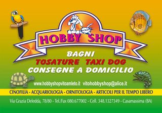 HOBBY SHOP-LOGO